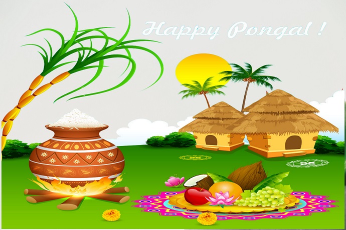 Happy Sankranti Happy Pongal